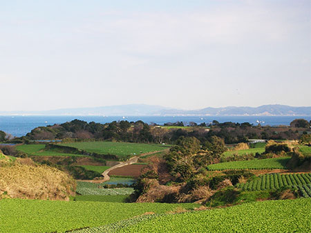 080127_matsuwa.jpg