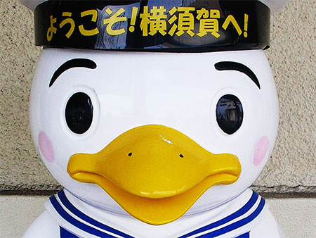 080127_sukare.jpg